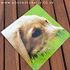 Labrador Pup Greetings Card